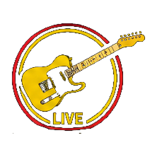 Over 3000 concerts performed
